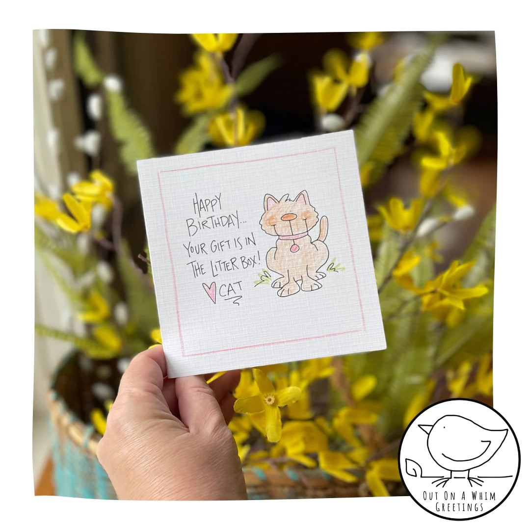 Out on a Whim Birthday Cards
