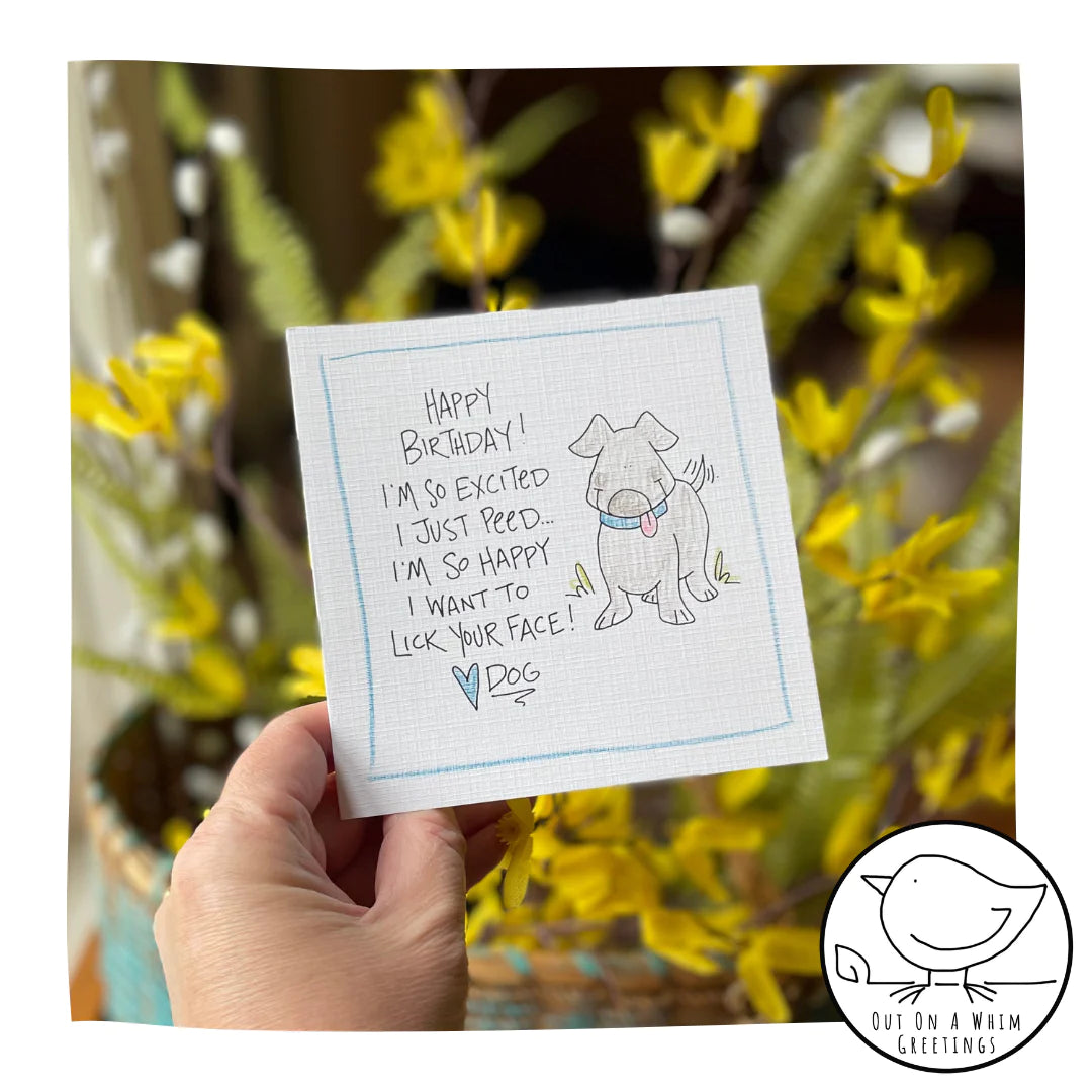 Out on a Whim Birthday Cards