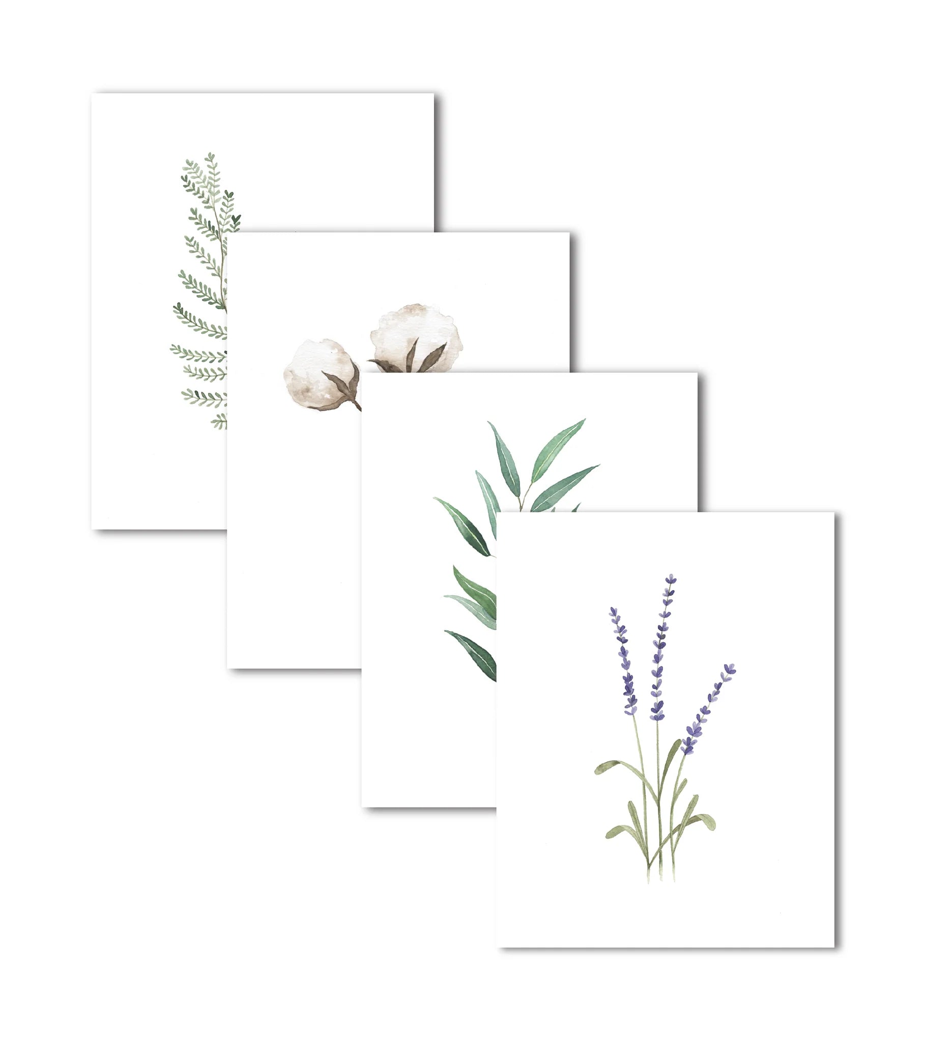 Emma Allen Designs Card Packs