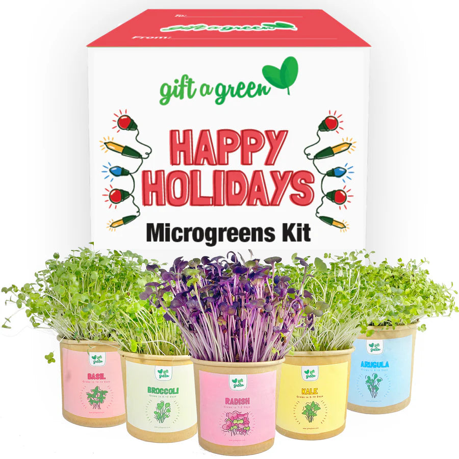 Gift Box - Happy Holidays