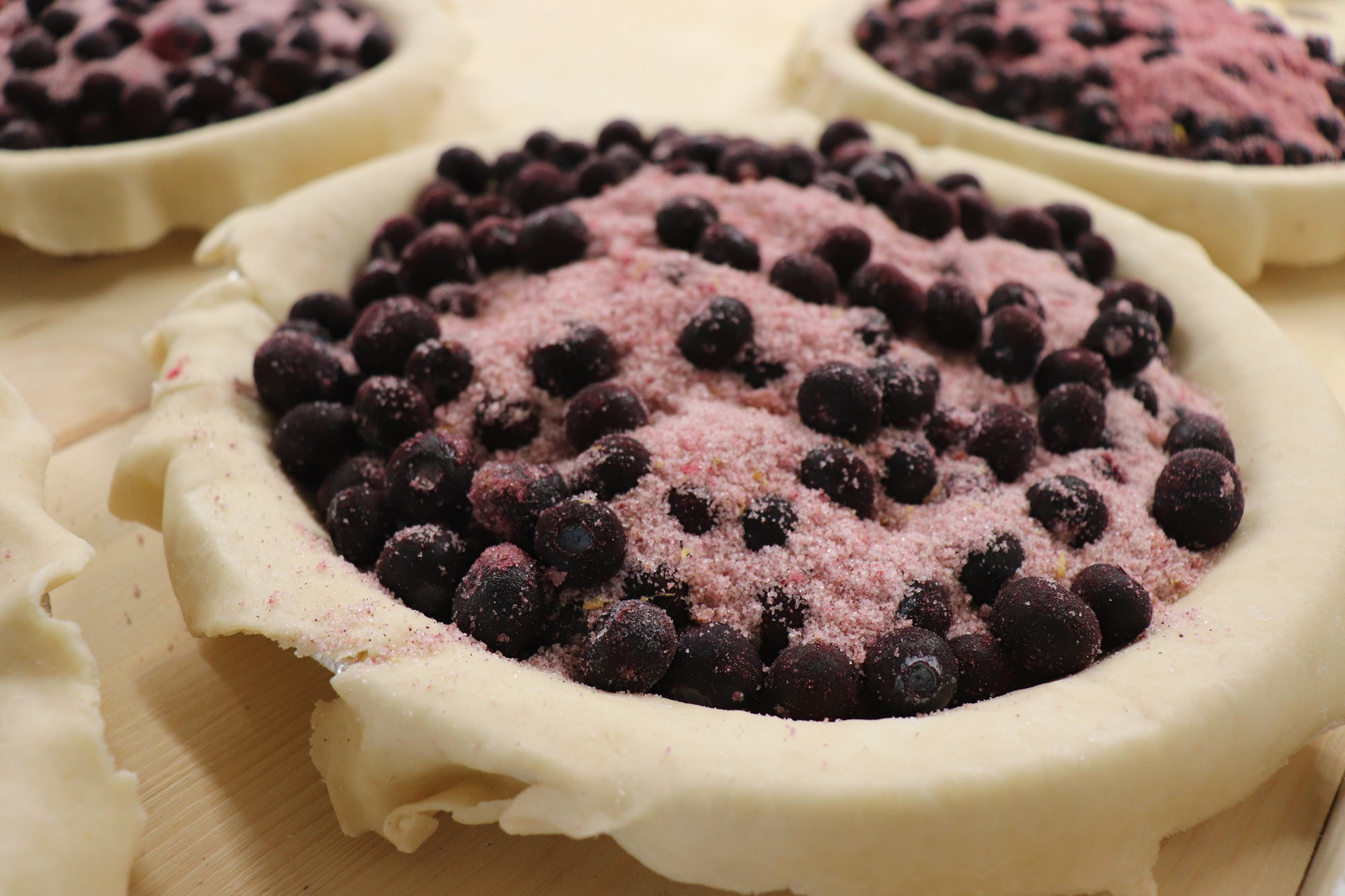 Blueberry Pie - 8"