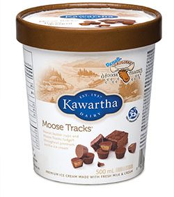 Kawartha 500ml Ice Cream Tub