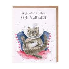 Wrendale Get Well & Thinking of You Cards