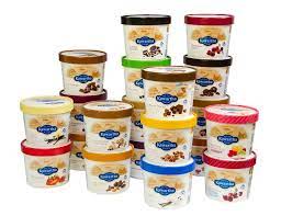 Kawartha 500ml Ice Cream Tub