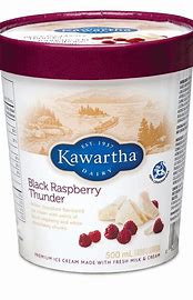 Kawartha 500ml Ice Cream Tub